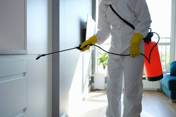 Mold Remediation for Vacation Homes in North Aurora, IL